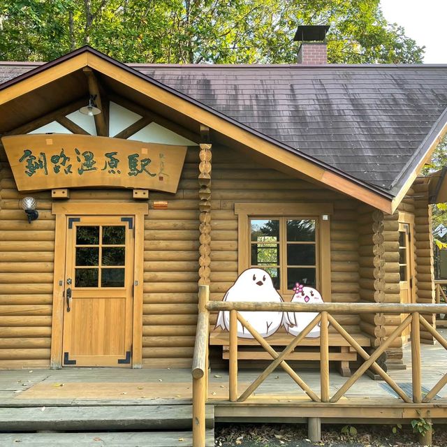 【北海道】釧路湿原で雄大な自然を感じよう！