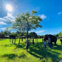 Kanta Elephant Sanctuary