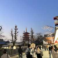 ♨️這個商店街太有和風感了吧！東京淺草傳法院通商店街帶你重返江戶時代⛩