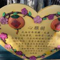 鯉魚門 — 風情萬種的海港漁村