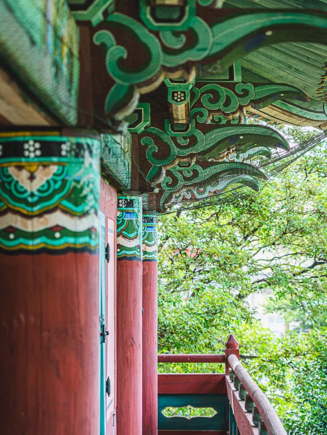 🌿여름빛 가득한 아름다운 제주 관아 [제주목관아]🍊