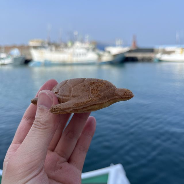 小琉球海龜放題 看飽吃飽玩飽