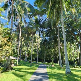The farm of san Benito, Philippines