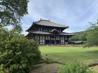 🎋奈良「東大寺」：探索古代佛教文化的代表性景點✨