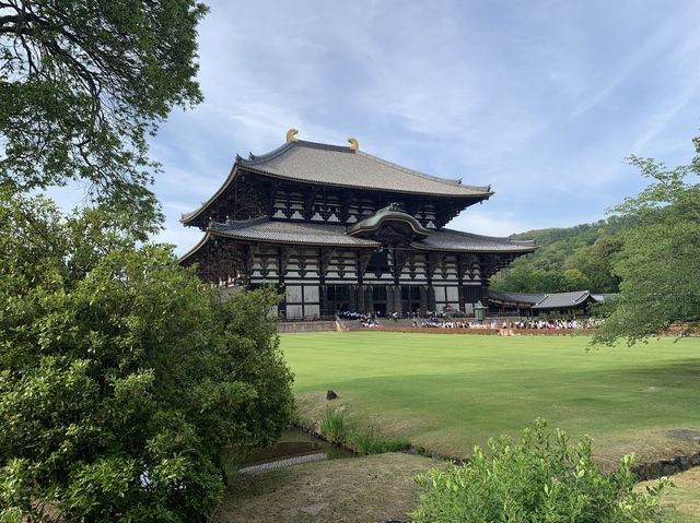 🎋奈良「東大寺」：探索古代佛教文化的代表性景點✨