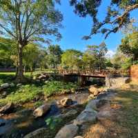 รีวิว โรงแรม Flora Creek เชียงใหม่