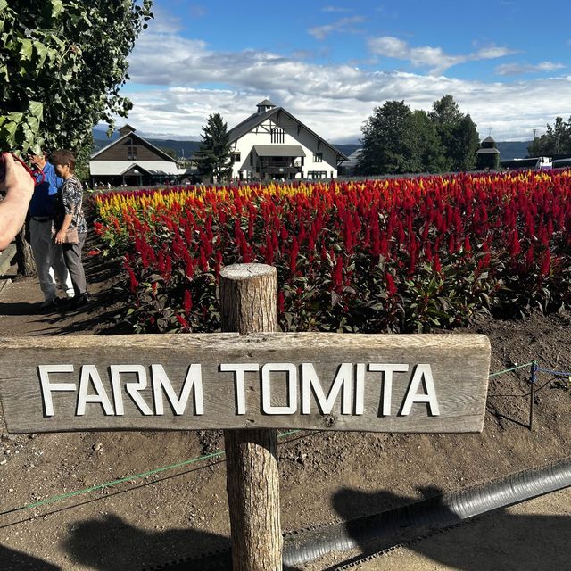Tomita farm 