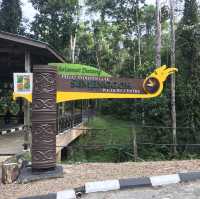 A wildlife Centre!