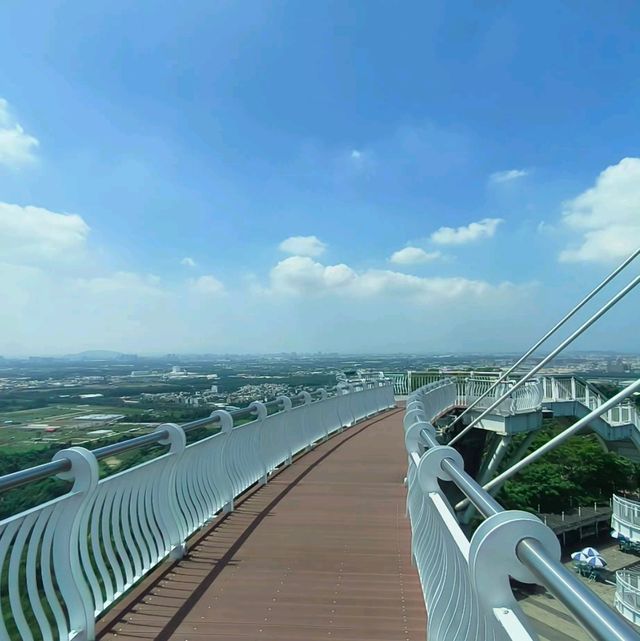 岡山之眼登高遠眺水庫美景