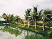 Chaina Cafe Farmstay and Coffee ไทรน้อย จ.นนทบุรี