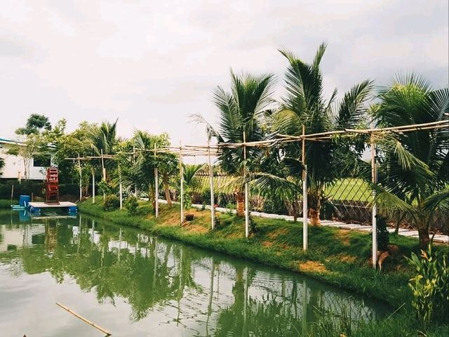 Chaina Cafe Farmstay and Coffee ไทรน้อย จ.นนทบุรี