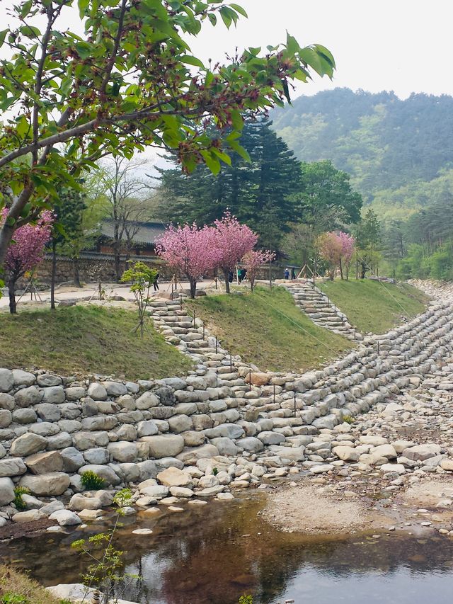 [KOREA]✨⭐️ Seoraksan National Park⭐️✨