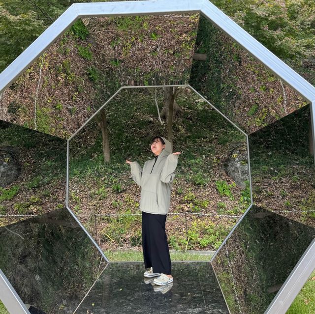 수려한 아름다움이 묻어있는 영광 불갑사 🪷