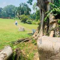 【インドネシア】壮大な植物園　“Kebun Raya Bogor”