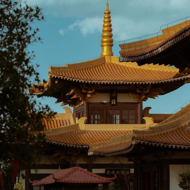 清照寺 🌸🏯和風古寺的心靈寄託🙏🍃