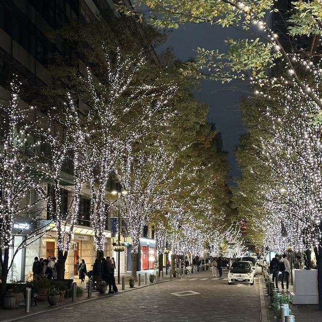 🎄크리스마스 일루미네이션 스팟 : 감성적인 마루노우치 이모저모 🎄
