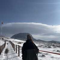 한라산의 꽃☃️❄️ 겨울의 영실코스⛰️
