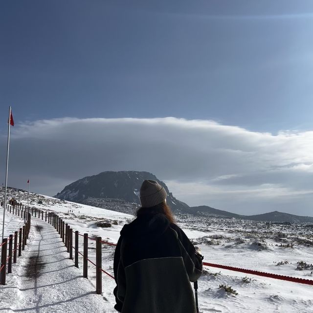 한라산의 꽃☃️❄️ 겨울의 영실코스⛰️