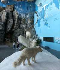 Hong Kong Wetland Park - Visitor Centre