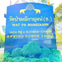 🏰 วัดป่าใจสวยสงบสุดๆ