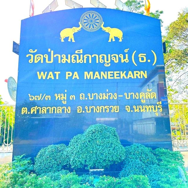 🏰 วัดป่าใจสวยสงบสุดๆ