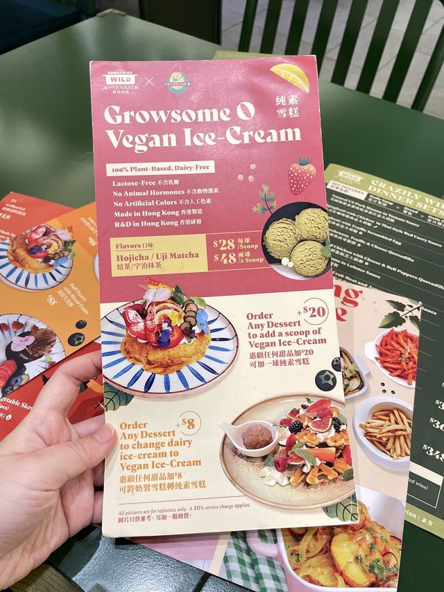 香港素食探店 | 尖沙咀 野玩田店