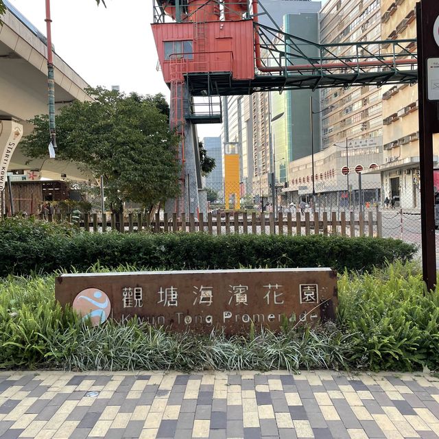 東九龍親子樂園，觀塘海濱音樂噴泉花園💐🌷🌹🌺