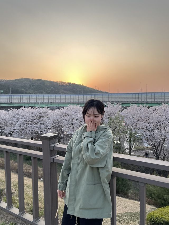 의왕 벚꽃 명소 백운호수