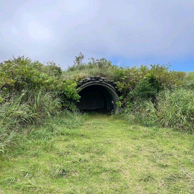 【東京都/伊豆大島】三原山