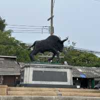 ชุมพรแบบงงๆ