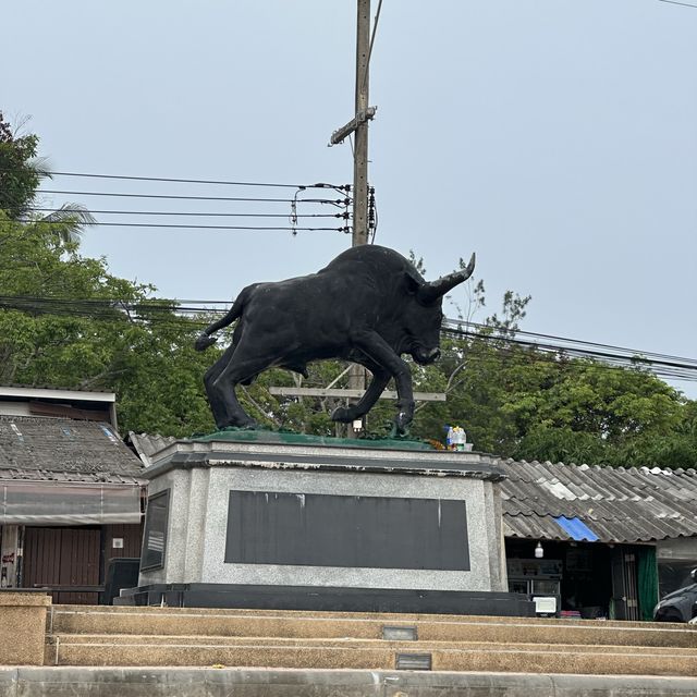 ชุมพรแบบงงๆ
