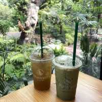 Plantnery Green Cafe : คาเฟ่สไตล์ธรรมชาติ