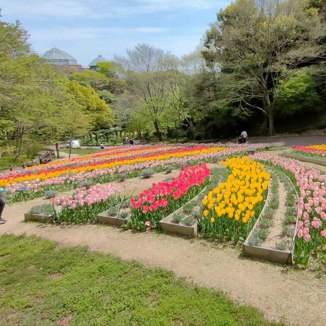 【兵庫県 神戸】神戸布引ハーブ園＆ロープーウェイ✨