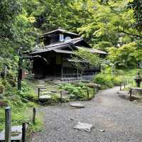 【神奈川県】横浜市　三溪園