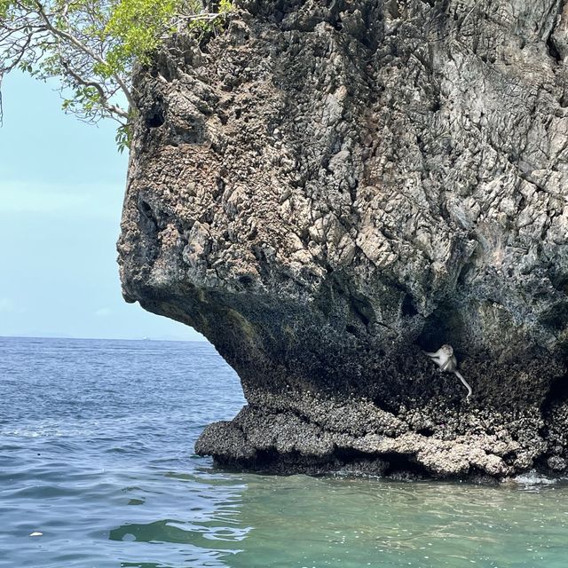 Maya Bay 