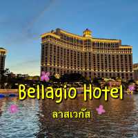 🇺🇸💦ดูน้ำพุและสวนดอกไม้ที่เบลลาจิโอ🌸💐