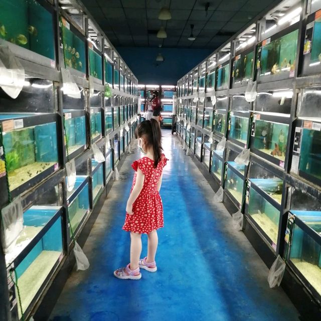 An Aquatic Wonderland Qian Hu 