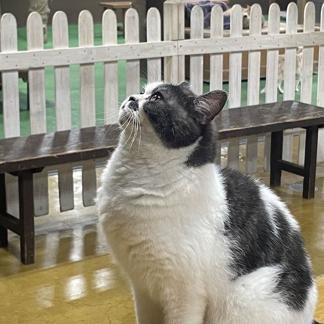 関西でおすすめの体験型動物園🐇🐅🐈🐕🦆