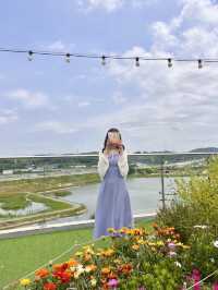 韓国【京畿道】景色最高！広々としたカフェ🐧🩷