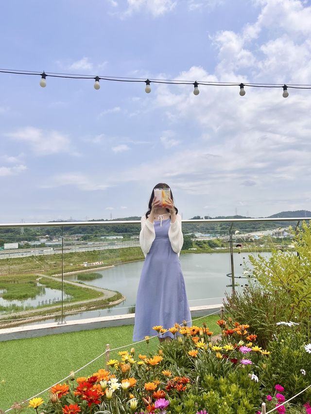 韓国【京畿道】景色最高！広々としたカフェ🐧🩷