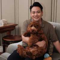 Pet Staycation at Intercontinental Singapore