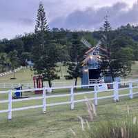 🐎Royal Good View Resort 🐑 (มื้อเย็นแสนอร่อย)
