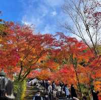 【京都NO.1紅葉🍁スポット、永観堂】