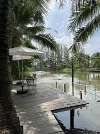 Coco&coff คาเฟ่ร่มรื่น กลางสวนมะพร้าว