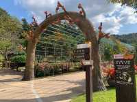 창원 단감의 역사적 가치를 홍보하기 위한 , 창원 단감테마공원