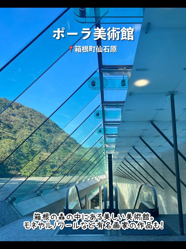 【箱根】行ってよかった！箱根のおすすめ観光スポット7選♨️