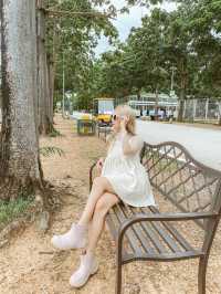 รีวิวสวนสัตว์สนามบิน📍สุโขทัย