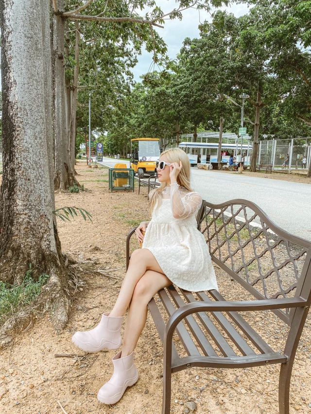 รีวิวสวนสัตว์สนามบิน📍สุโขทัย
