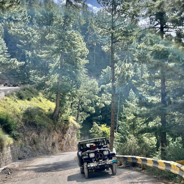 pakistan, im in love ♥️
