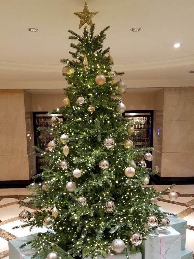 🎄聖誕好去處❄️朗廷酒店 The Langham, Hong Kong